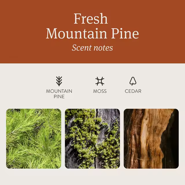 Drift Car Air Freshener - Wood Air Freshener  - Teak Scent Starter Kit